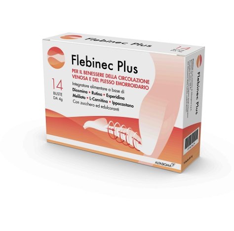 FLEBINEC PLUS 14 BUSTINE