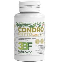 CONDROPHYTO 60CPR 2G