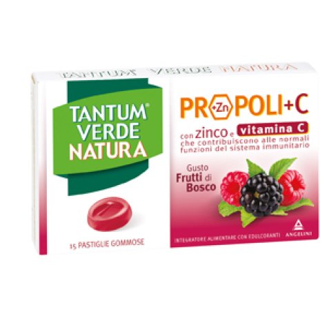 ANGELINI Spa Tantum verde natura 15 pastiglie gommose frutti di bosco