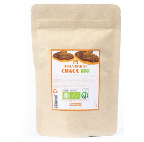 CHAGA POLVERE BIO 60G