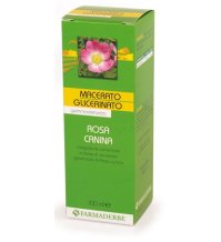 ROSA CANINA MG 100ML