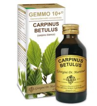 CARPINO BI 100ML ANALCO GEM10+