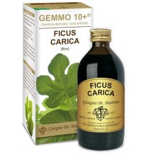 FICO GEMMO 10+ S/ALC 200ML FERRI