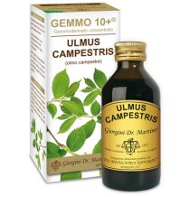 OLMO CAMP 100ML ANALCO GEM 10+