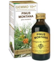 PINO MONT 100ML ANALCO GEM 10+