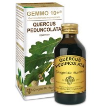 QUERCIA 100ML ANALCO GEMMO 10+