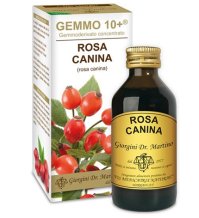 ROSA CANINA LIQ ANAL GEMMO 10+