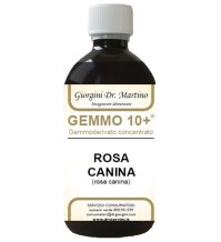 ROSA CANINA LIQ ANAL GEMMO 10+