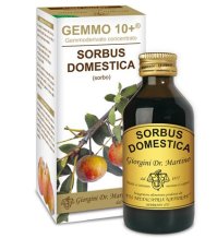 SORBO 100ML ANALCO GEMMO 10+