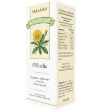 SINERGICUM PILOSELLA 100ML