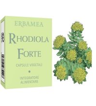 RHODIOLA FORTE CAPSULE ERBAMEA