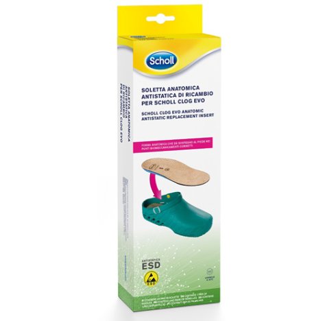 CLOG EVO ANAT ANT INS MIC40-41