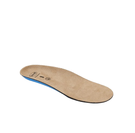 CLOG EVO ANAT ANT INS MIC41-42 CLOG EVO ANAT ANT INS MIC41-42