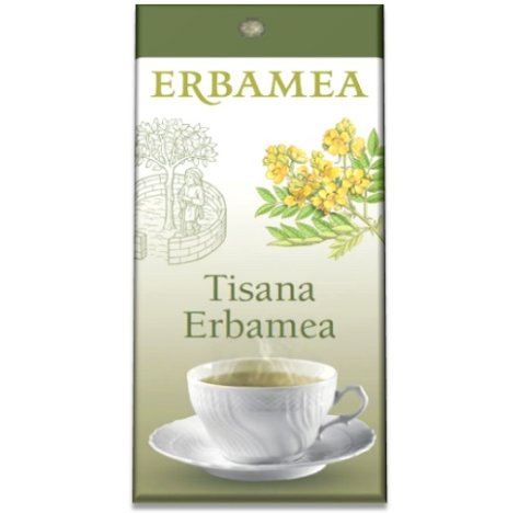 TISANA ERBAMEA 100G