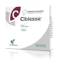 CIBIESSE 20BUST