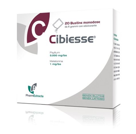 CIBIESSE 20BUST