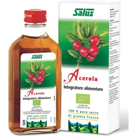 SUCCO ACEROLA 200ML