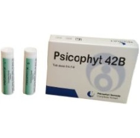 PSICOPHYT REMEDY 42B 4TUB 1,2G