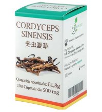 CORDYCEPS 100CPS