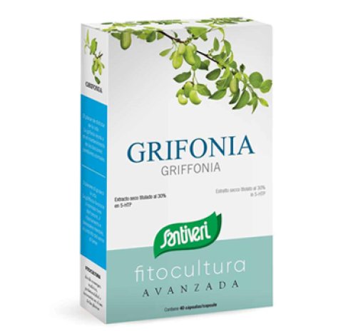 GRIFONIA 40CPS STV