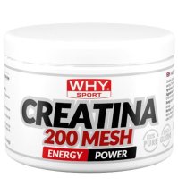 WHYSPORT CREATINA 200 MESH 200