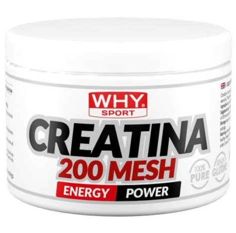 WHYSPORT CREATINA 200 MESH 200