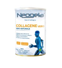 VIPROF DUE NEOGELA POLVERE 400GR ZETA 92 Integratore Per Ossa E Cartilagine 