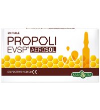 PROPOLI EVSP AEROSOL 20FX2ML EBV