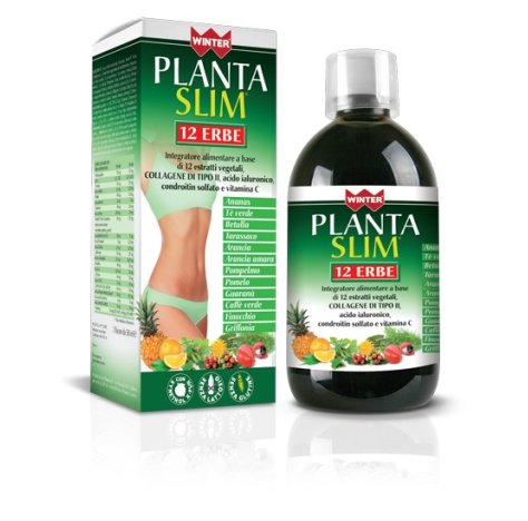 WINTER PLANTA SLIM 12ERBE500ML