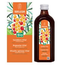 OLIVELLO SPINOSO VITAL SCIR WE