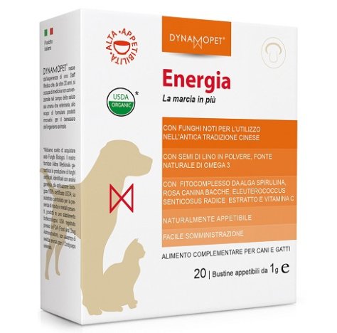 ENERGIA 20BUST 1G