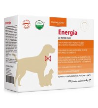 ENERGIA MEDIUM 20 Bust.4g