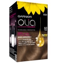 L'OREAL ITALIA SpA DIV. CPD Garnier Olia 6.0 light brown