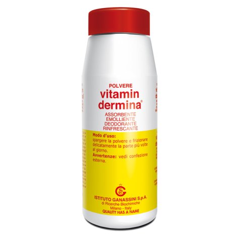 ISTITUTO GANASSINI Spa Vitamindermina polvere special edition