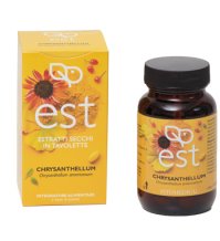 CHRYSANTHELLUM ES 60TAV FTM