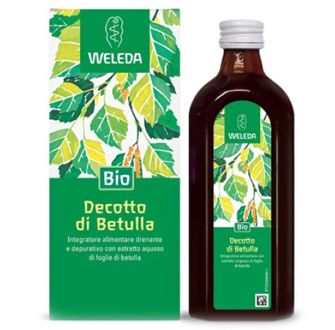 BETULLA DECOTTO 250ML WE