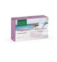 MAGNESIO B6+ACHILLEA+ANGELICA+