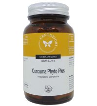 CURCUMA PHYTO PLUS 100CPS VEG CE