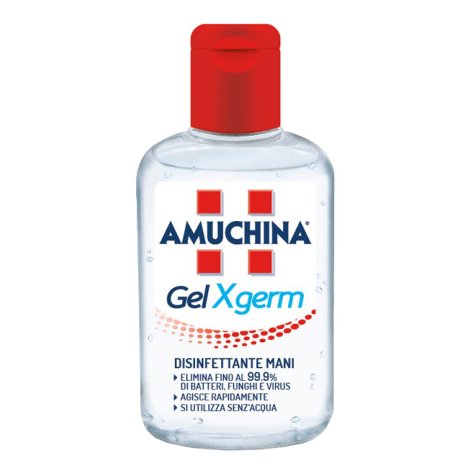 ANGELINI Spa Amuchina gel X-germ 80ml