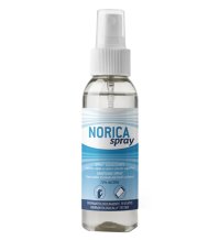 NORICA SPRAY IGIENIZZANTE 100ML