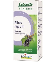 RIBES NIGRUM MG 60ML INT BO