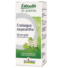 CRATAEGUS OXY MG 60ML INT BO