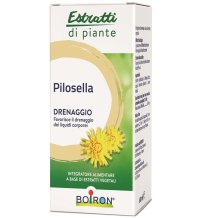 PILOSELLA EI 60ML BO