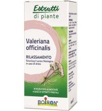 VALERIANA OFF EI 60ML INT BO