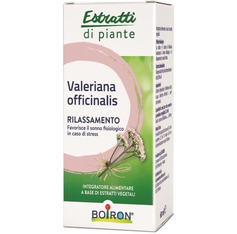 VALERIANA OFF EI 60ML INT BO