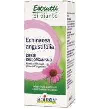 ECHINACEA ANG ESTR IAL 60ML