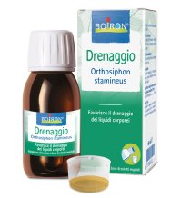 ORTHOSIPHON STA EI 60ML INT