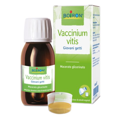 VACCINIUM VITIS MG 60ML INT BO