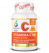 VITAMINA C 500 120CPS COLOURS OF