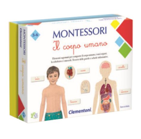 Montessori Il Corpo Umano